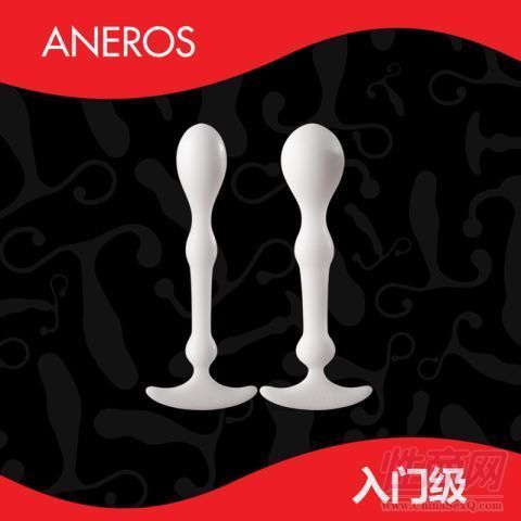 ANEROS-Peridise xӰͥǰٰĦ2֧