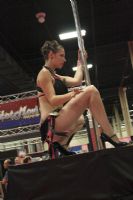 2009eXXXoticaչF(xin)\DƬ88